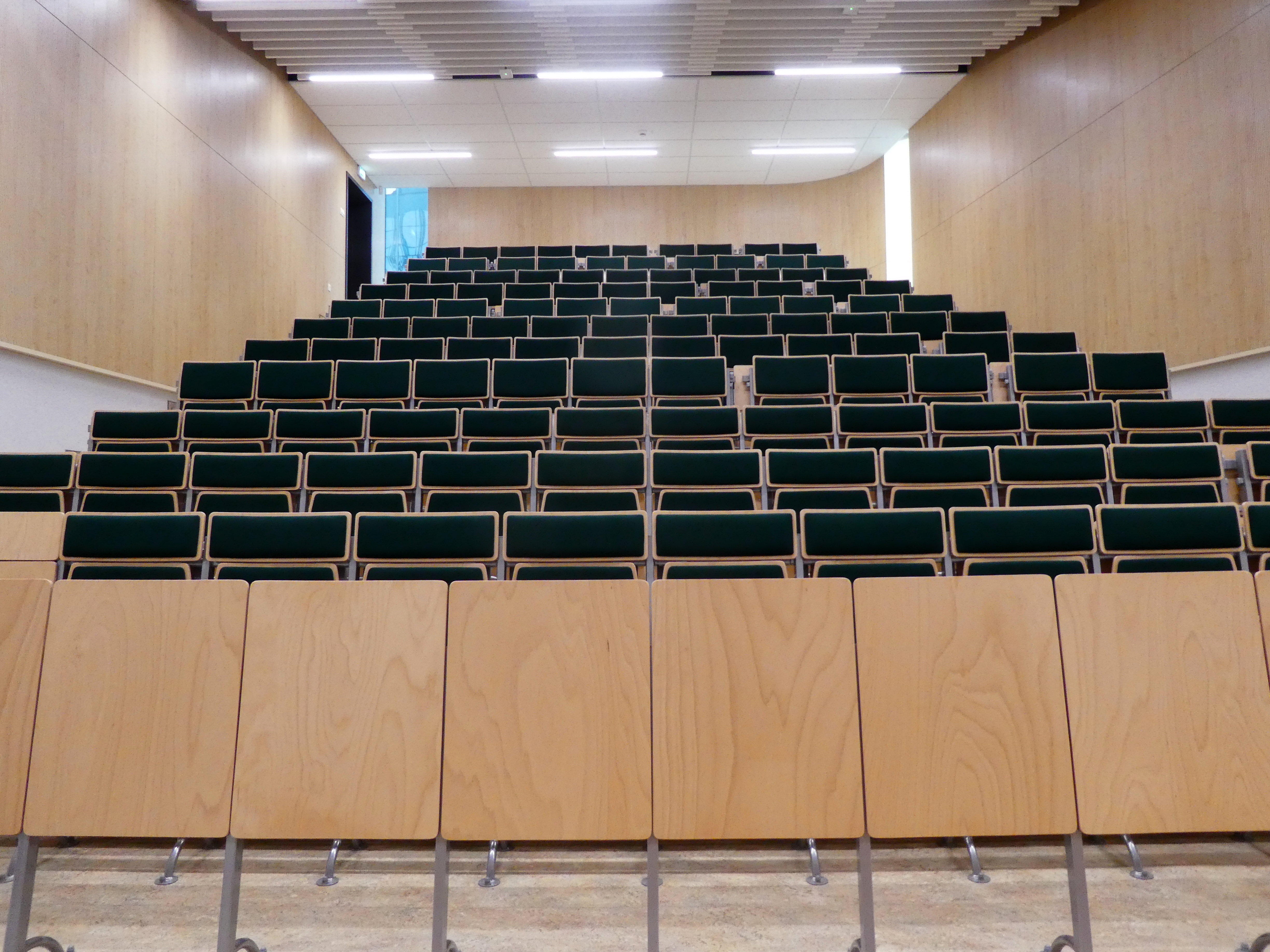 Aula zielona