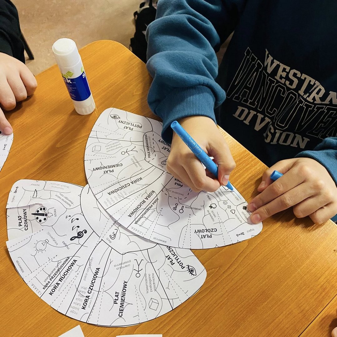 Europejski Tydzień Mózgu Europejski Tydzień Mózgu