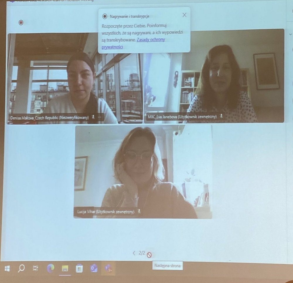 Crafting an Inclusive and Participatory European Democracy with Youth and Communities