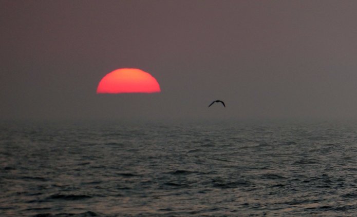 Konferencja Naukowa „Wyzwania resocjalizacji penitencjarnej. Oddziaływania wobec grup wrażliwych populacji skazanych” 