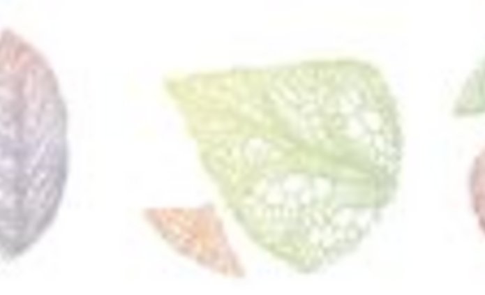 XIV Łódzkiej Konferencji Biograficznej