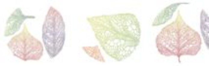 XIV Łódzkiej Konferencji Biograficznej