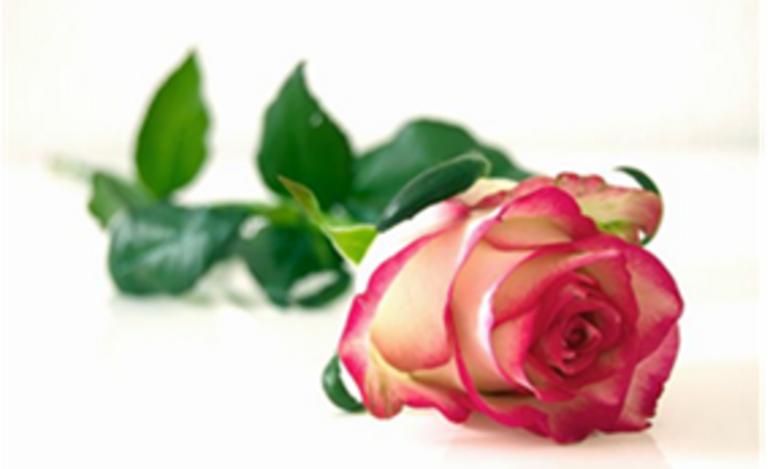 Dzień Edukacji Narodowej