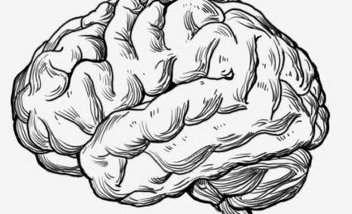 Światowy tydzień mózgu